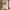 Woven rush ceiling lamp
